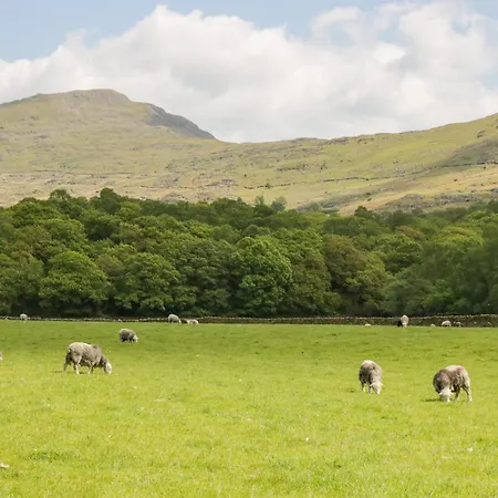 Holiday home Shepherd's *